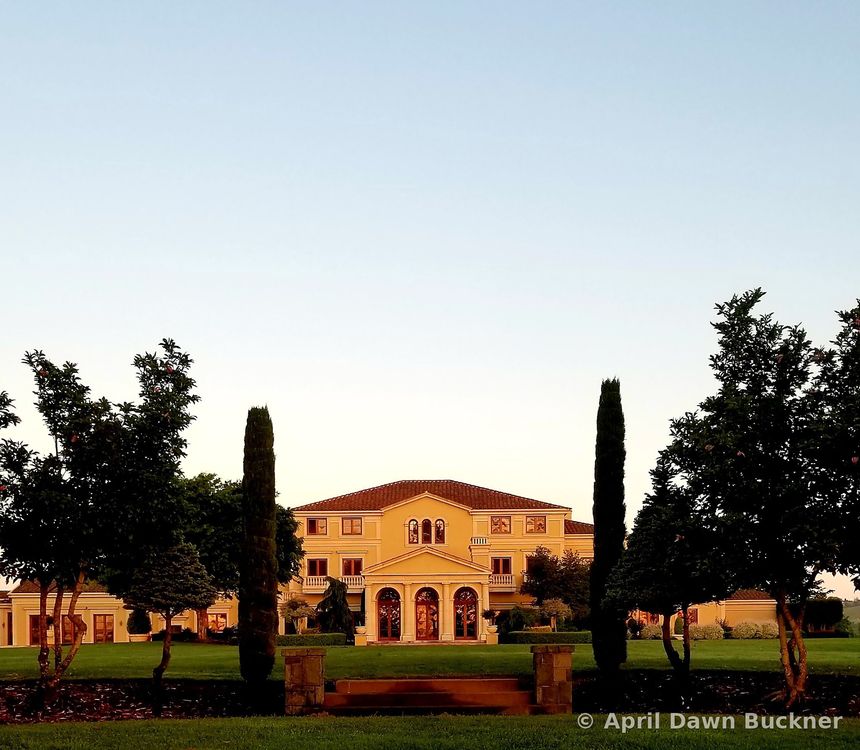 The back of the villa, seen from the lower yard across the great back lawn, framed by two tall, dark cypress trees at dusk