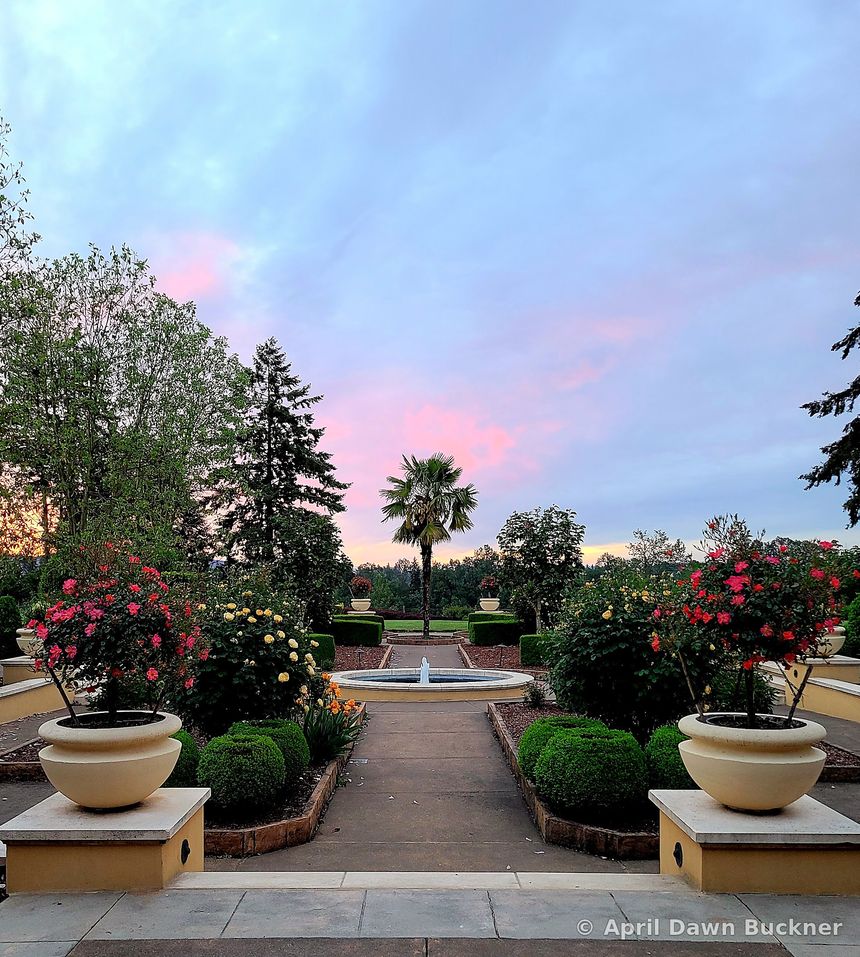 A garden walk between planters and rounded hedges leading to a fountain under a pink sunset sky