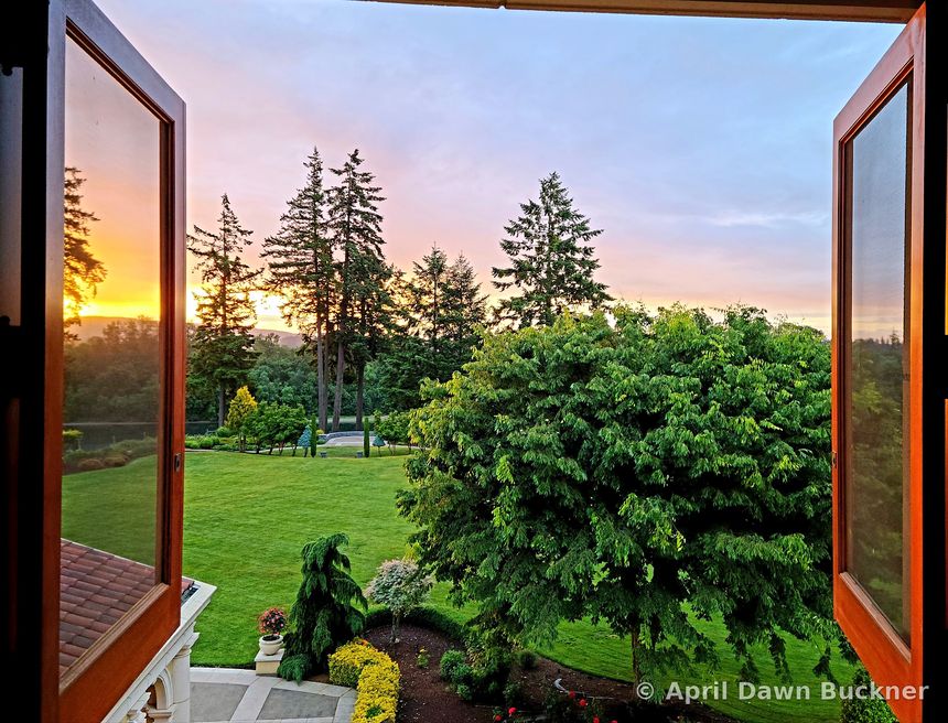Through open wooden-framed windows to a green lawn and a large tree at sunset