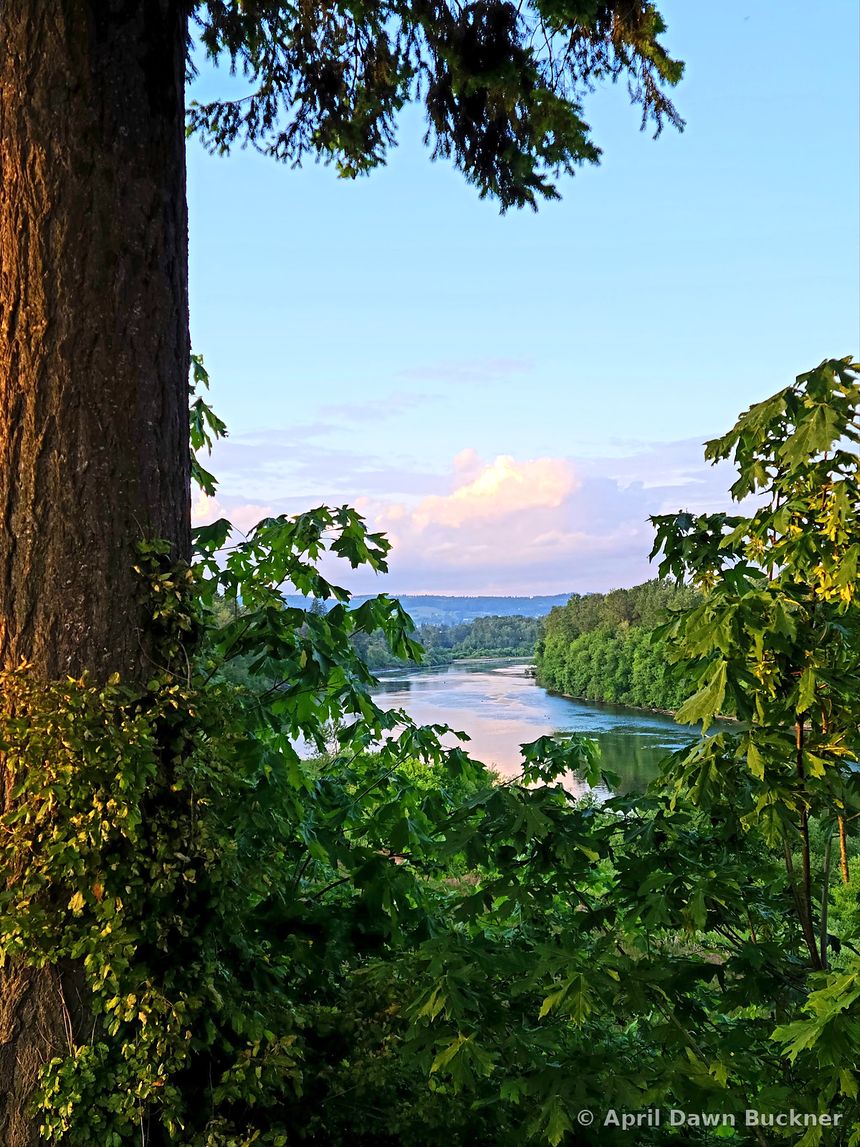 A view through trees down to a river winding through a forested valley