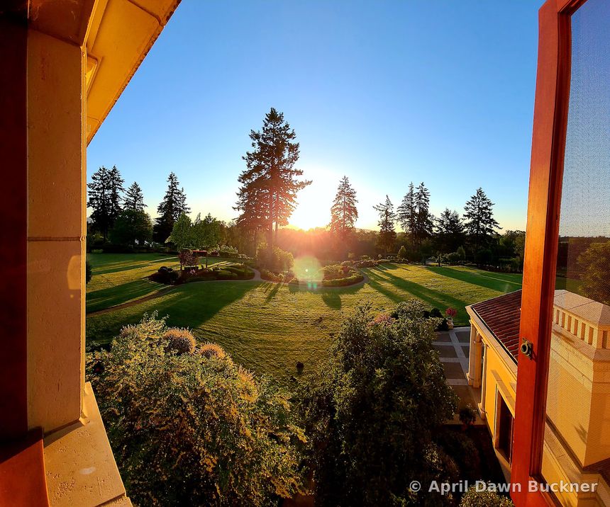 A high view of the lawn and gardens at sunrise, with long tree shadows and a corner of the villa's yellow wall