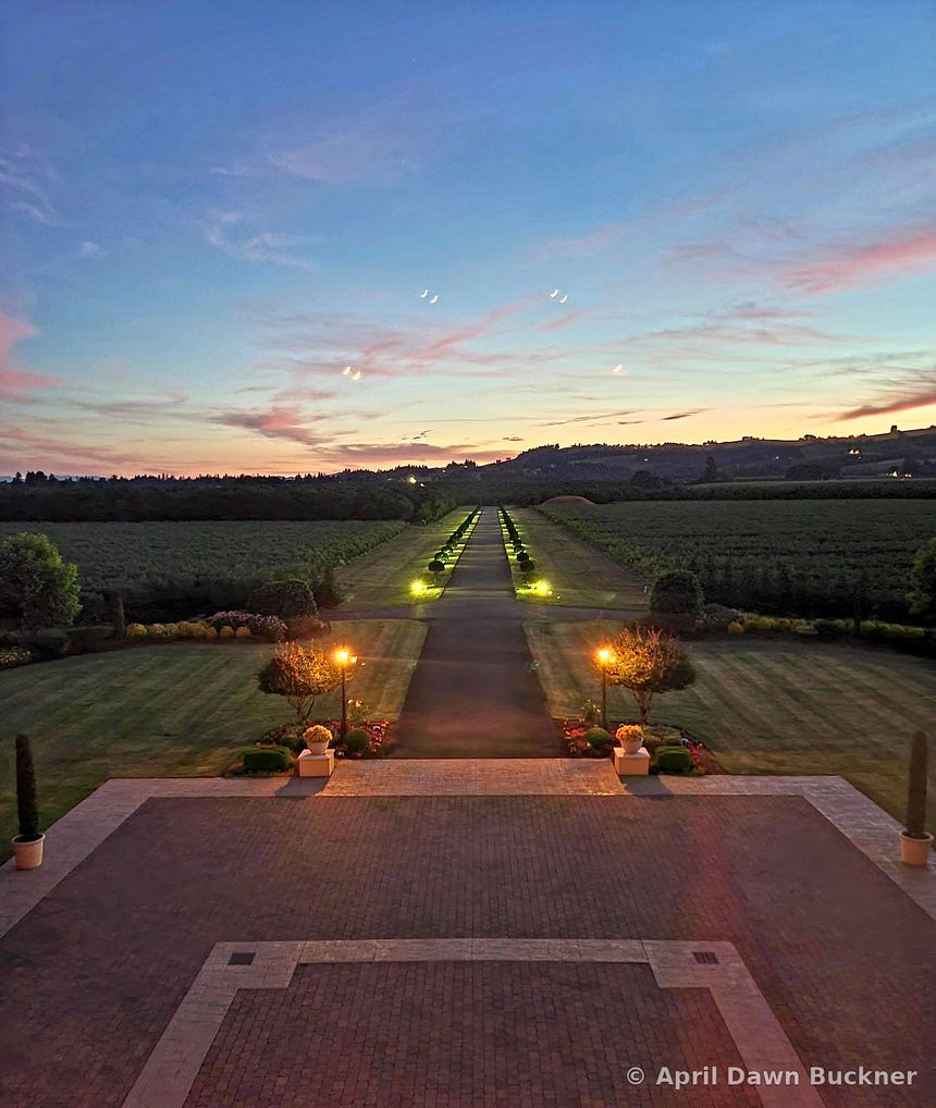 Looking down the long drive from the terrace at dusk