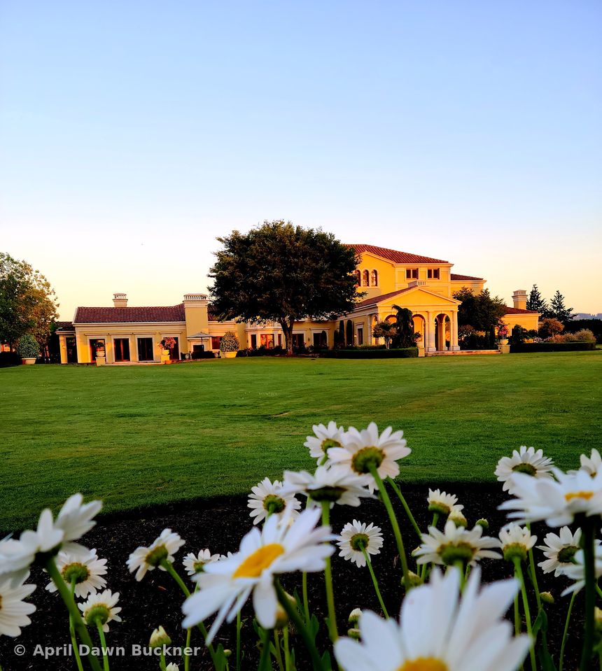 The villa across the green lawn, with white daisies in the foreground
