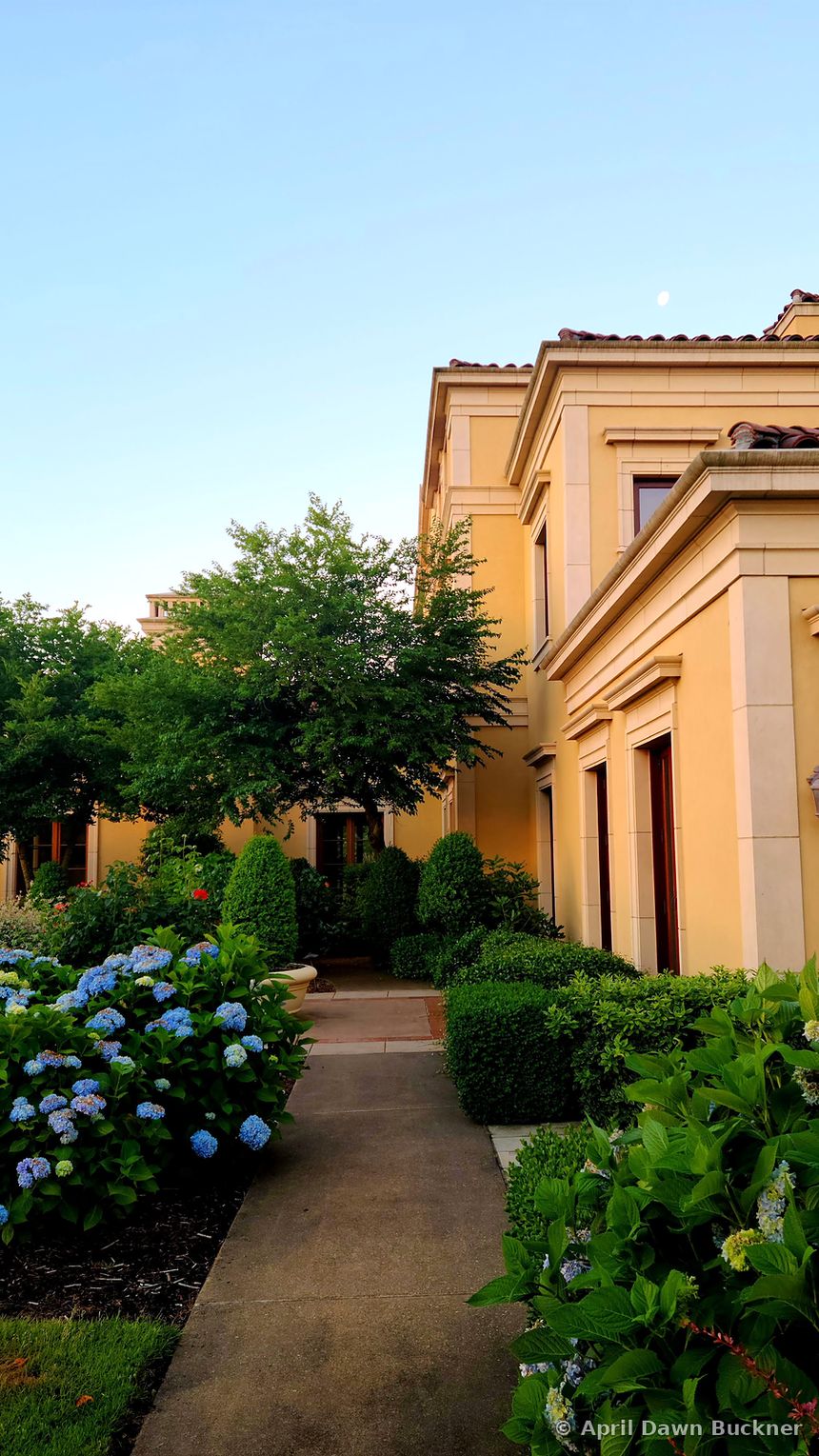 A paved walk beside the villa's yellow wall, lined with hedges and blue hydrangeas