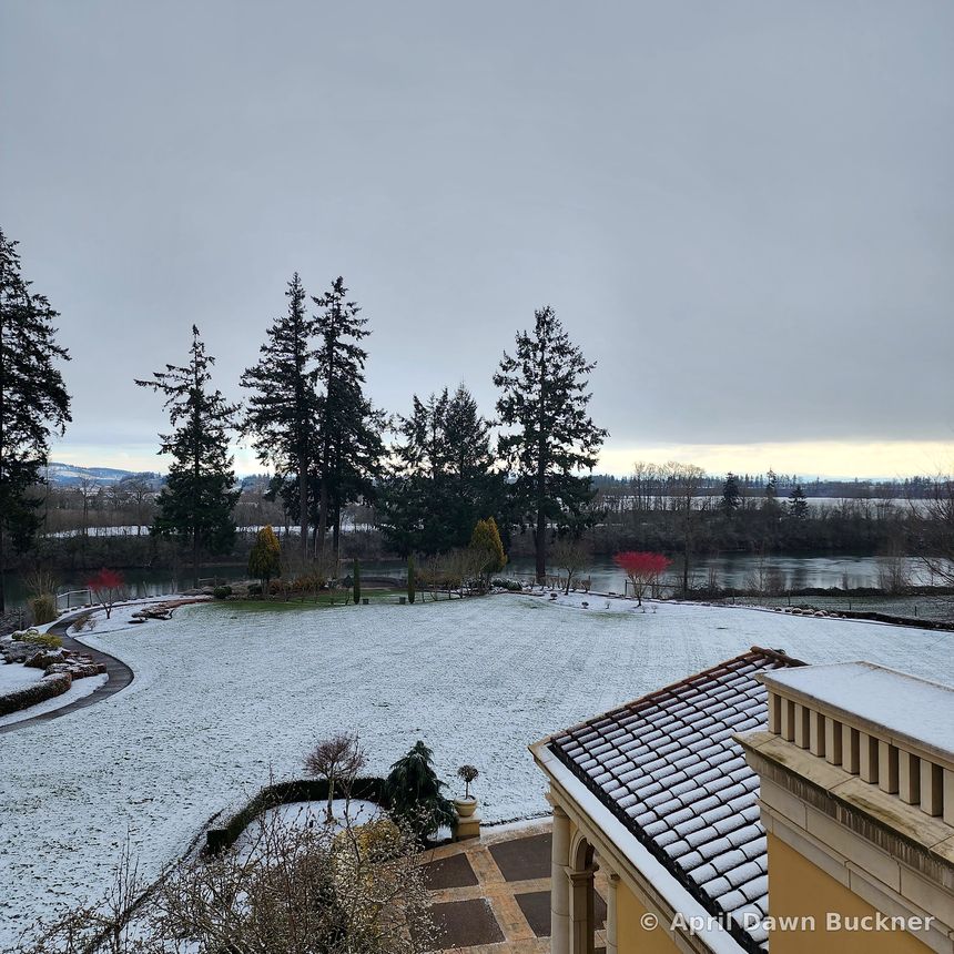 A snow-covered lawn seen from a high terrace, with evergreens beyond