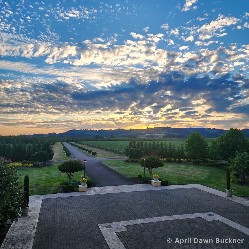 Looking down the long drive from a stone terrace under wispy clouds