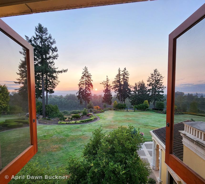 Through an open wooden window to a misty lawn and distant trees