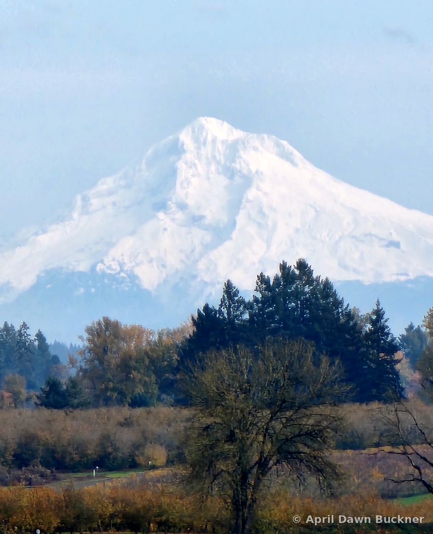 A snow-capped mountain peak above evergreens and fields in the distance