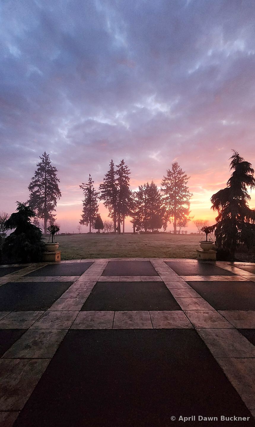 A paved courtyard looking out to fog and a line of trees under a purple and orange sky