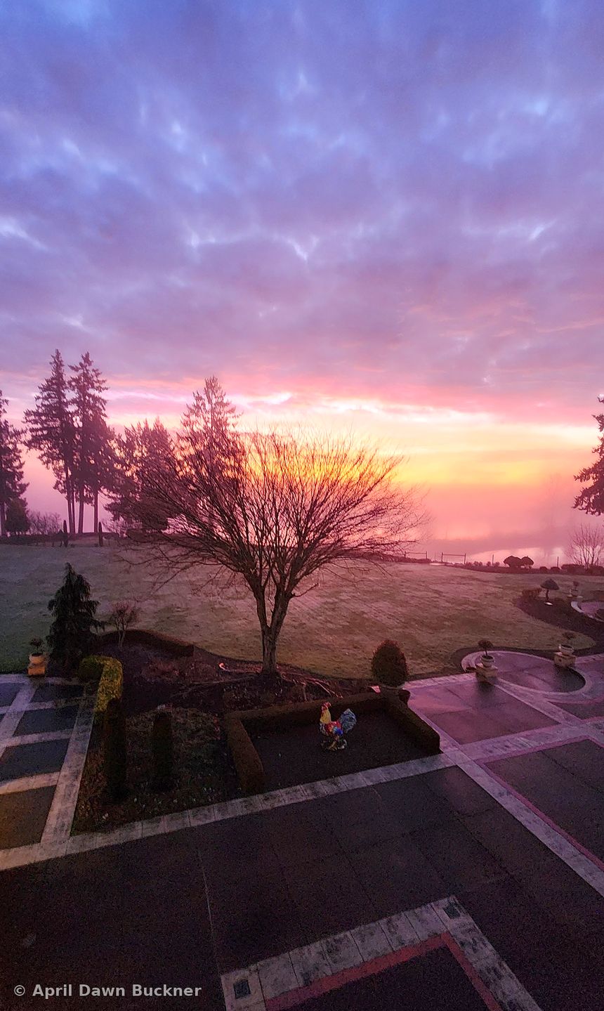 A pink and orange sunrise sky over the courtyard and trees, seen from high up