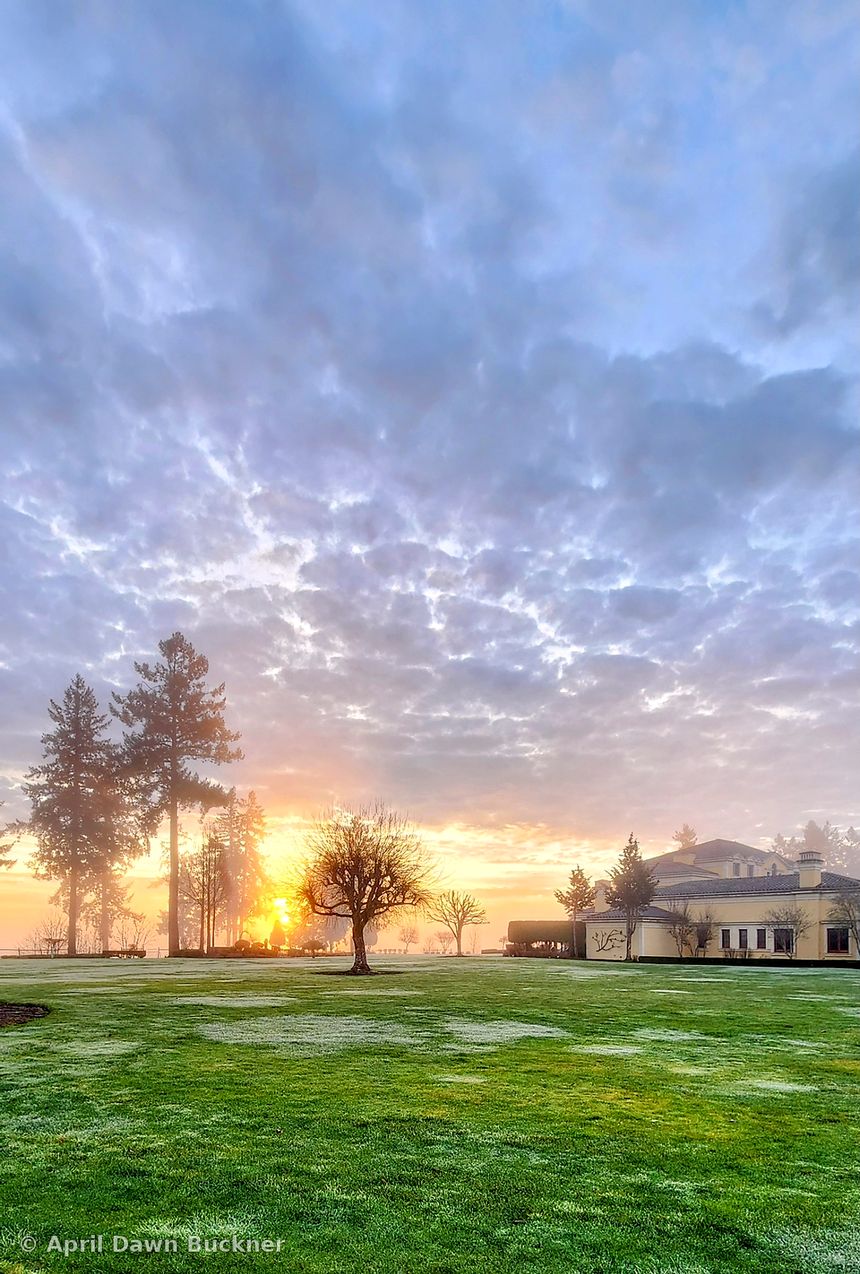 Sunrise sky over the lawn, a single tree and the edge of the villa