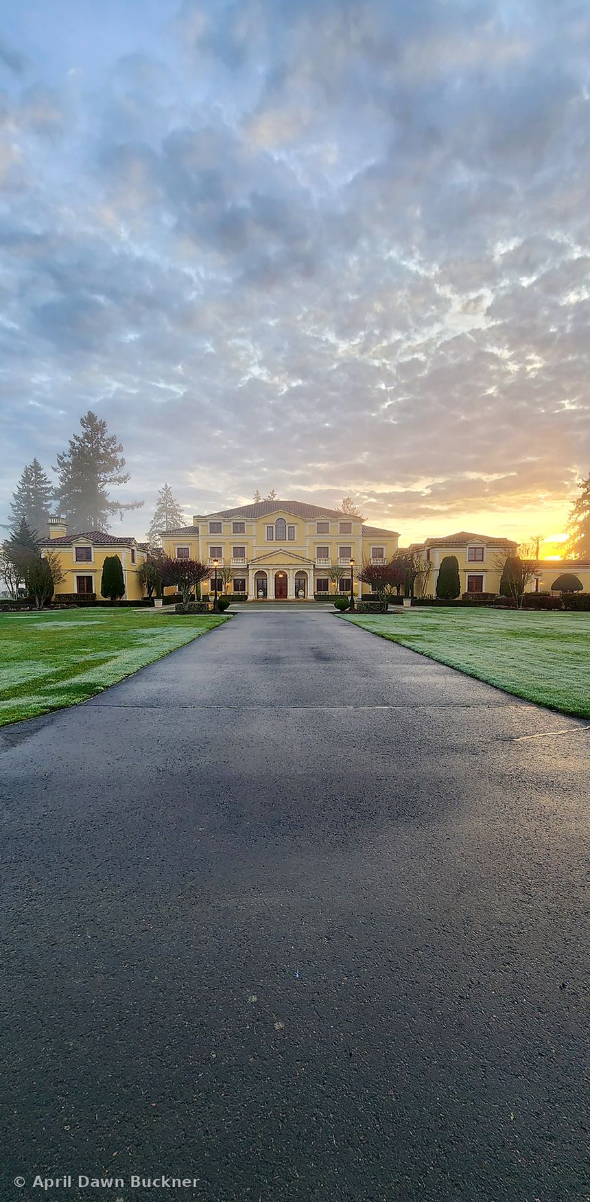 The long paved drive leading toward the villa under a dawn sky