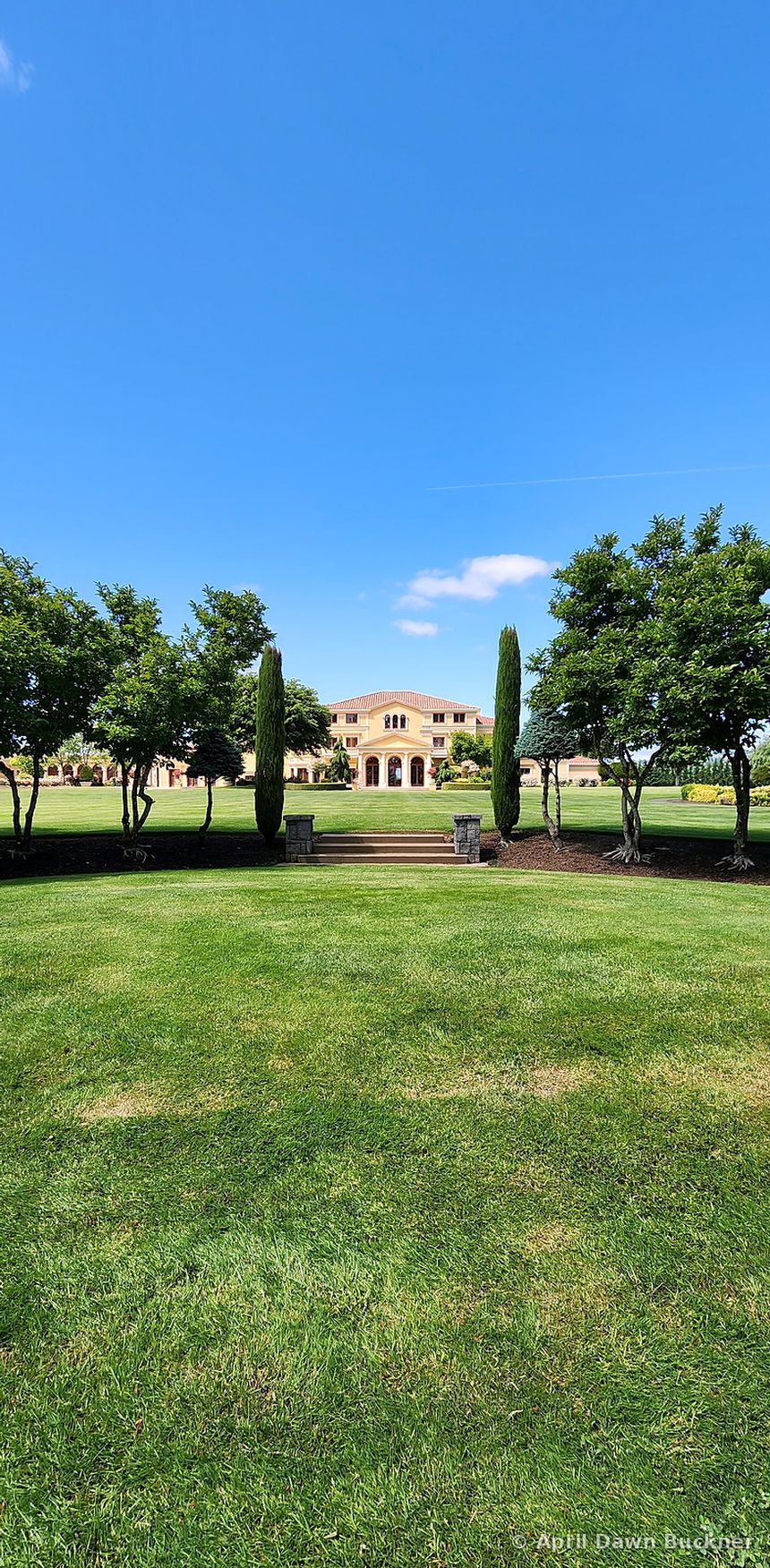 A wide green lawn with the villa far off, framed by trees under a blue sky