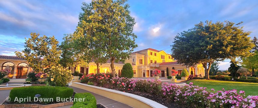 The villa in warm sunrise light, with a curved walk, trimmed hedges and pink flowers in front