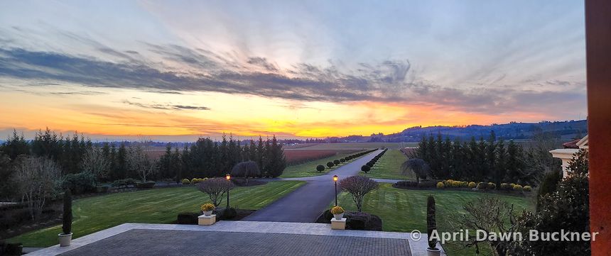 A sunset sky over the long straight drive and fields, seen from the villa