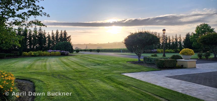 The striped green lawn and paved paths at dawn or dusk, with trees dark against the sky