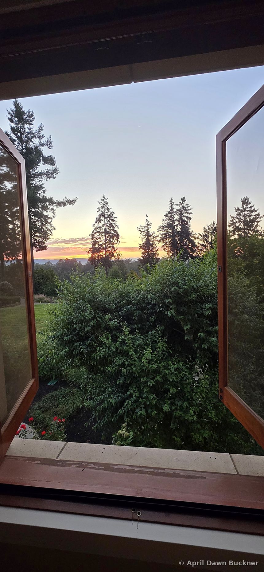 Looking out an open window at a golden sunset over green shrubs and trees