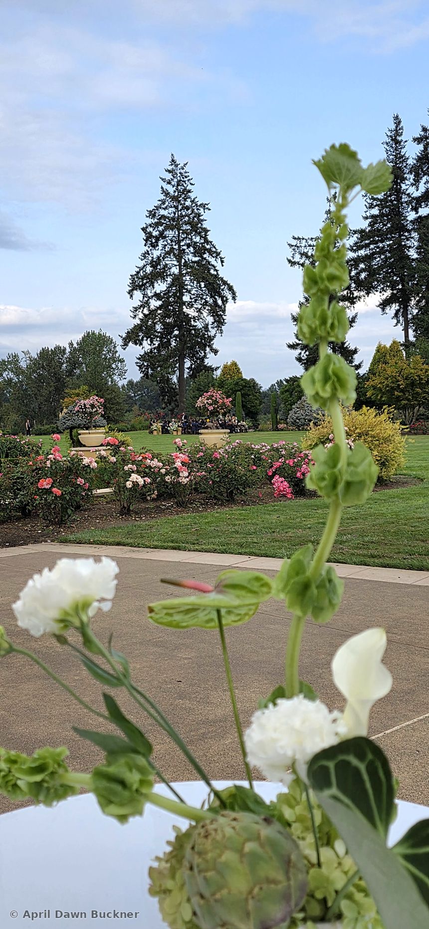 A flower arrangement with a green artichoke on a white table, with the patio, lawn, roses and evergreens behind