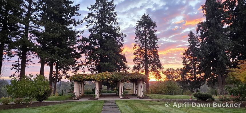 The vine-covered stone pergola on the lawn under a pink and orange sunset sky, with tall evergreens